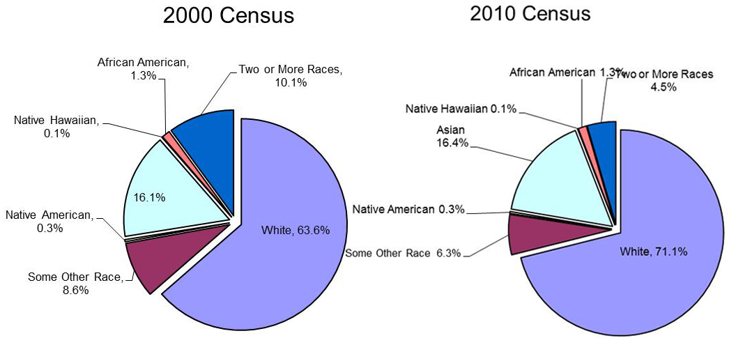 Race - 2000 -2010 Census