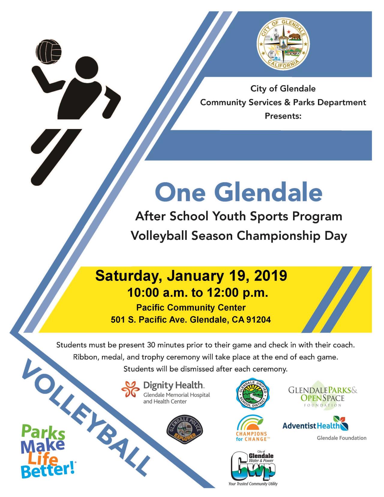 Volleyball Champ flyer (3)