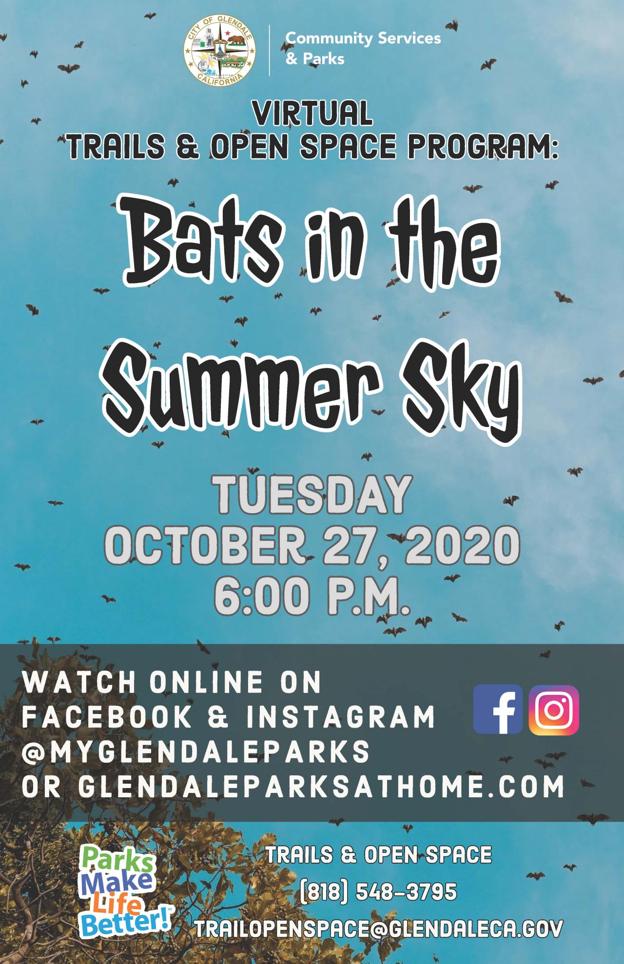 Bats in the Summer Sky Flyer