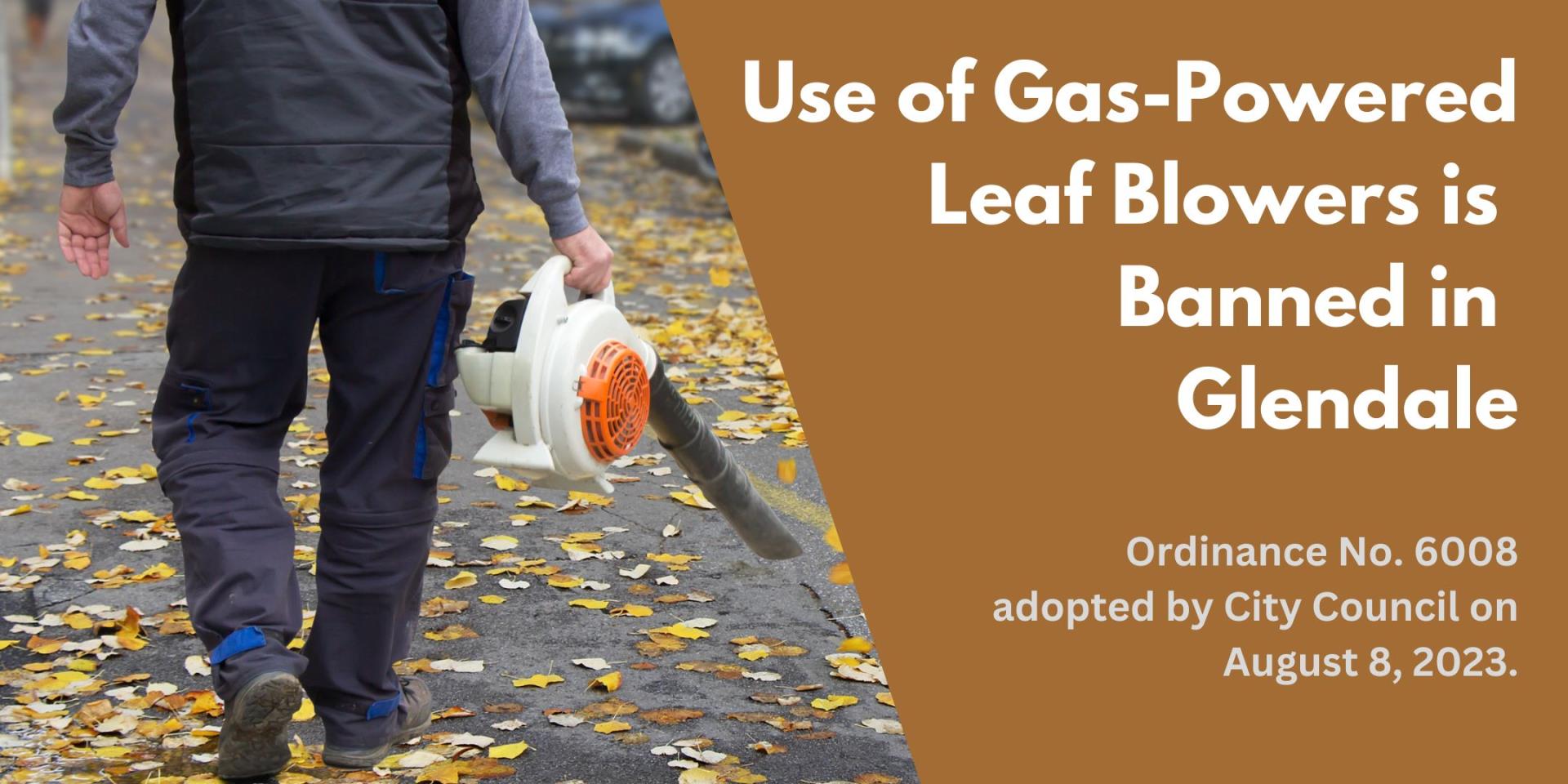 Prohibition on the Use of Gas-powered leaf blowers