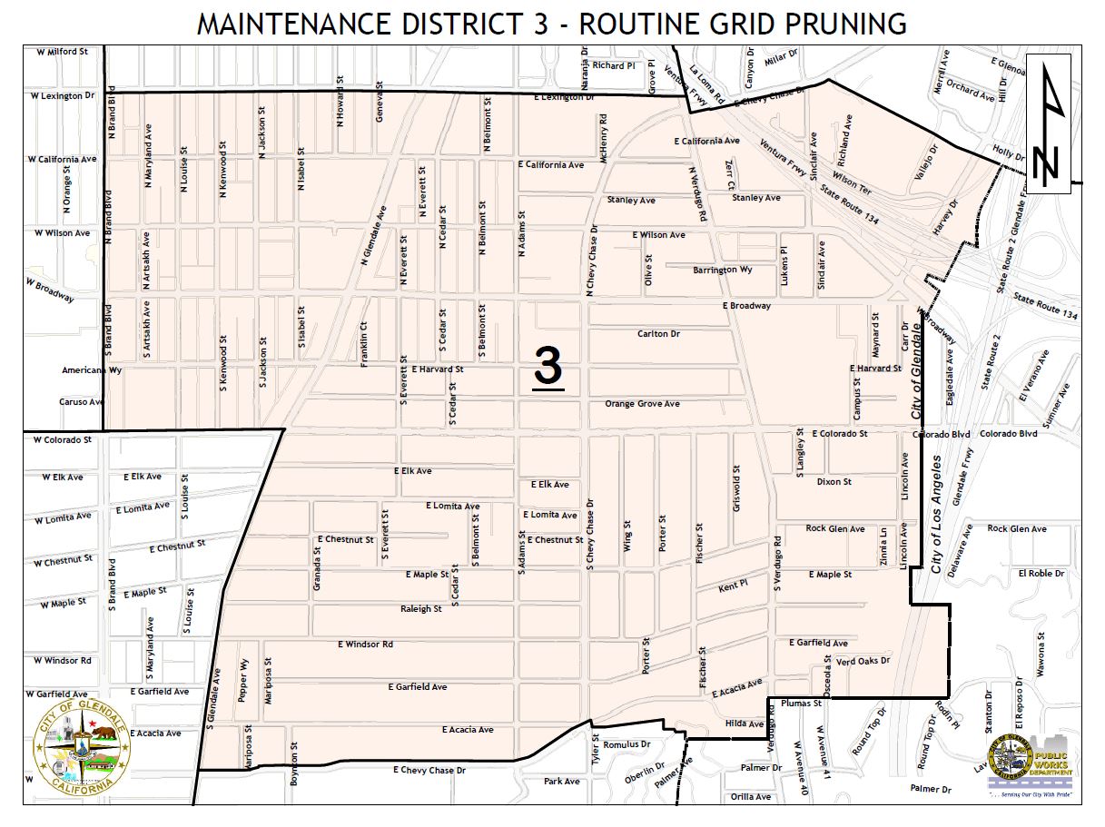 MD3 - Routine Grid Pruning