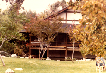 Tea House 1984